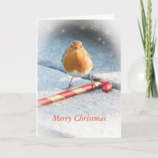 Christmas card with robin & Christmas candy sweet