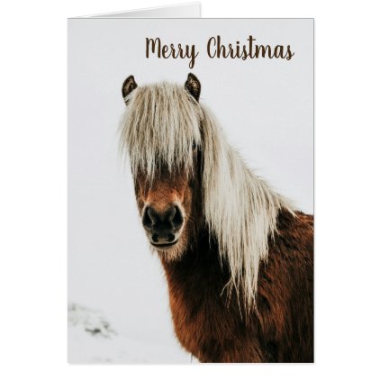Christmas Card with Shaggy Horse in Snow