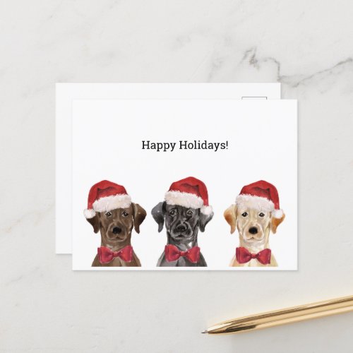 Christmas Card with Three Labrador