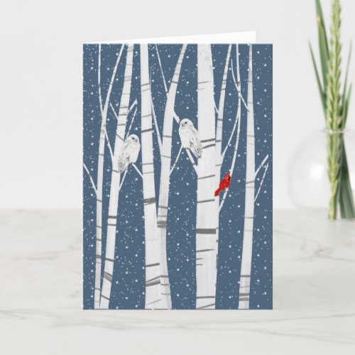 Christmas Cardinal and Owls In Snowflakes Holiday Card
