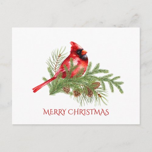 Christmas Cardinal Bird Holiday Corporate Greeting Postcard