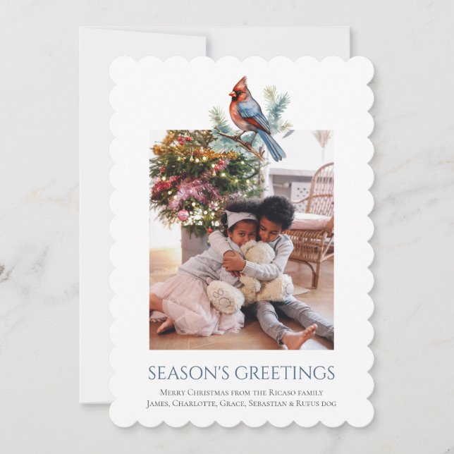  Christmas Cardinal Bird Photo Template (Front)