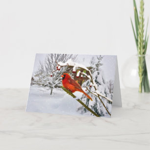 Christmas, Cardinal Bird, Snow, Card