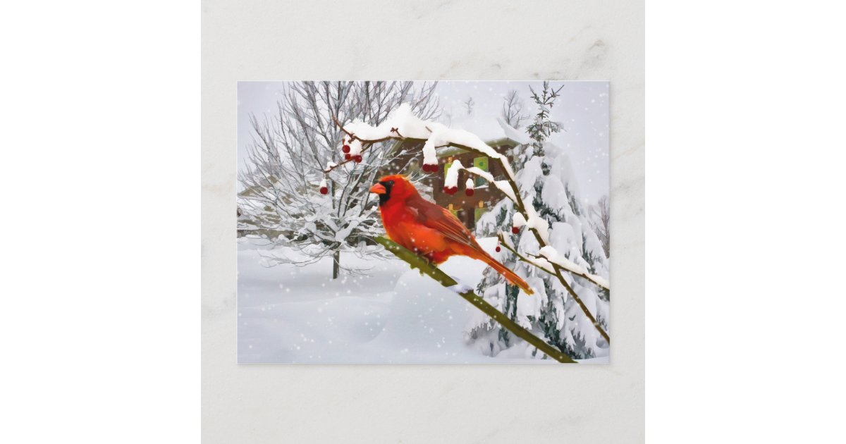 Christmas Cardinal Bird Snow Postcard Zazzlecom High fashion emotion gray men wedding suit model 811 mario moyano