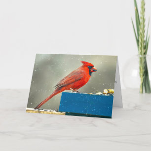 Christmas Cardinal Christmas Card