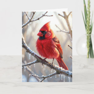 Christmas Cardinal Perched on Branch with Icicles Card