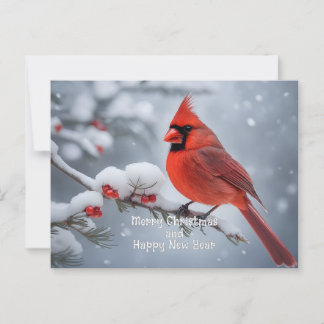 Christmas Cardinal Postcard