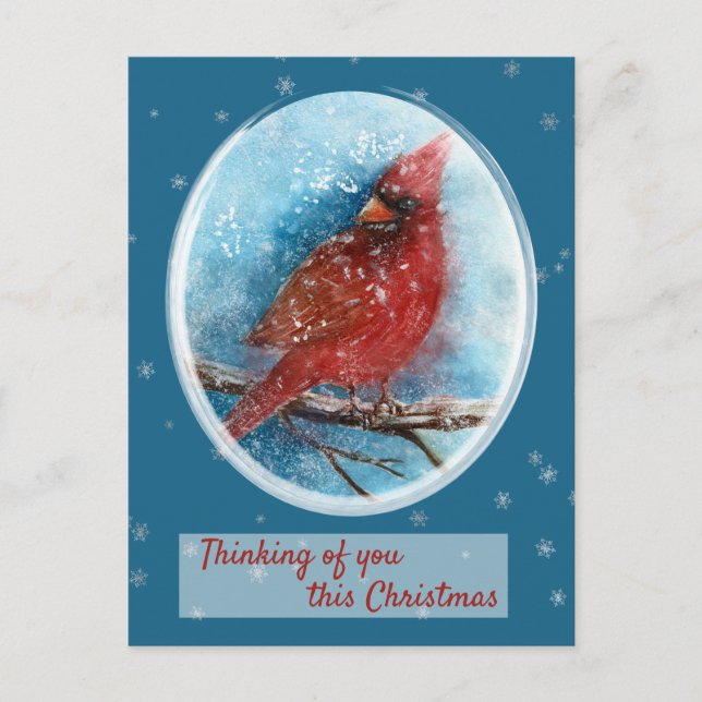 Christmas Cardinal Thinking of you Holiday Postcard (Front)