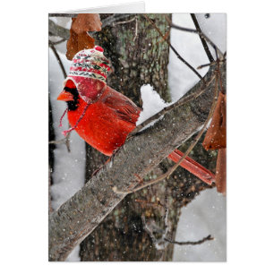 Christmas Cardinal with Stocking Cap
