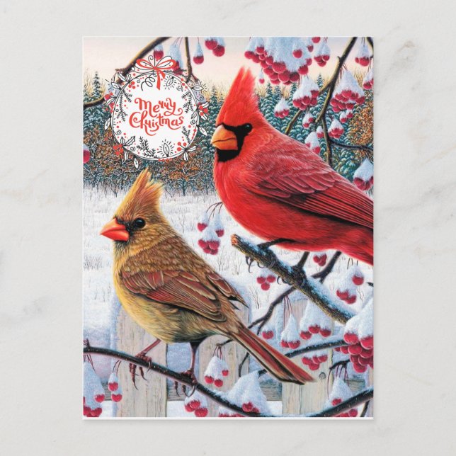 Christmas Cardinals Postcard (Front)