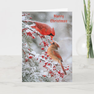 Christmas Cardinals with Red Berries in Winter Card