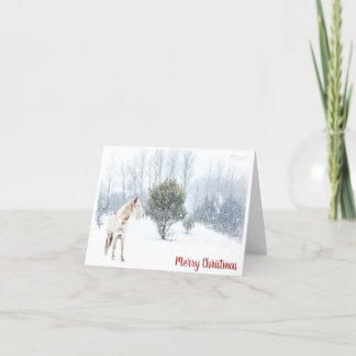 Christmas Cards