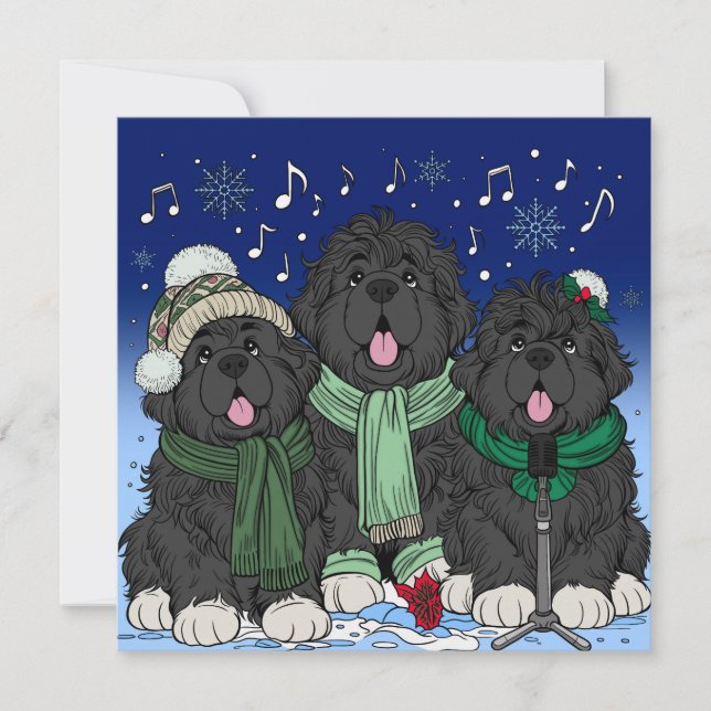 Christmas Carol singing Newfoundland puppy dogs Holiday Card (Front)