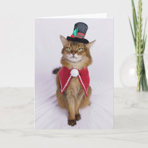 Christmas Caroler Somali Cat  Card