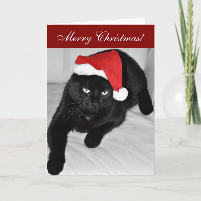 Christmas cat 4 holiday card (Front)