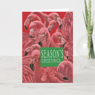 Christmas Cat and Flamboyance of Pink Flamingos Thank You Card