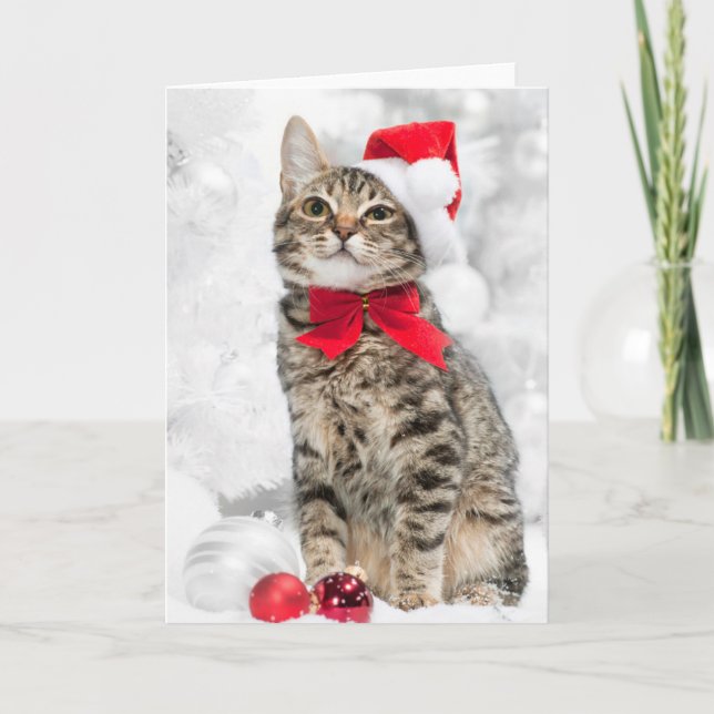Christmas Cat At Red Santa's Hat Near Christmas Holiday Card (Front)