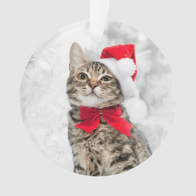 Christmas Cat At Red Santa's Hat Near Christmas Ornament (Front)