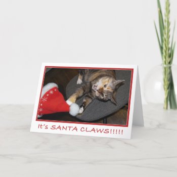 Christmas Cat Attack Ii Holiday Card by erinphotodesign at Zazzle