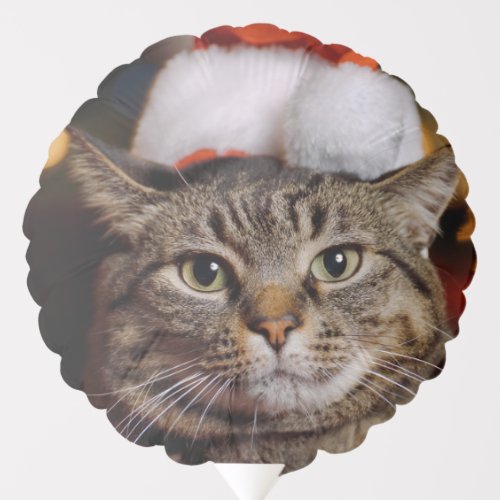 Christmas Cat Balloon