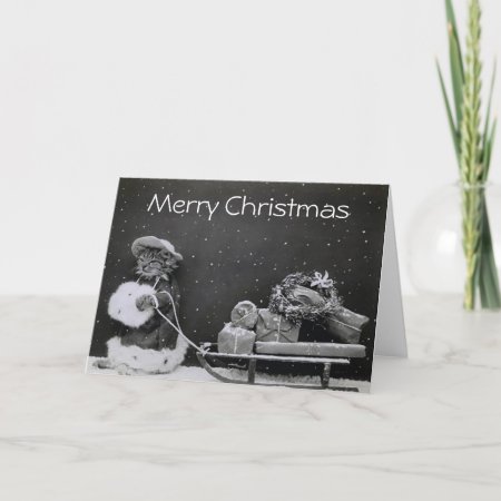 Christmas Cat Bearing Gifts Holiday Card