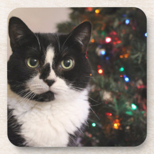 Christmas cat beverage coaster