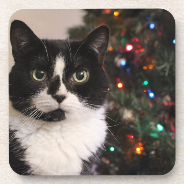 Christmas cat beverage coaster (Front)