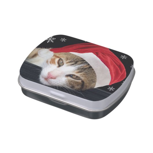 Christmas Cat Candy Tin (Side)