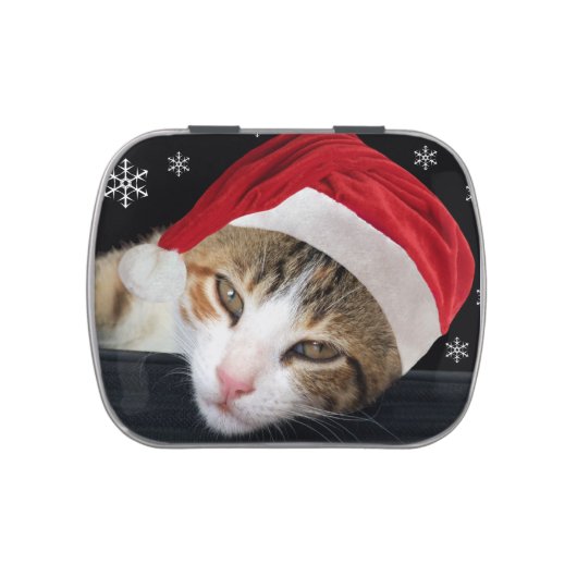 Christmas Cat Candy Tin (Top)