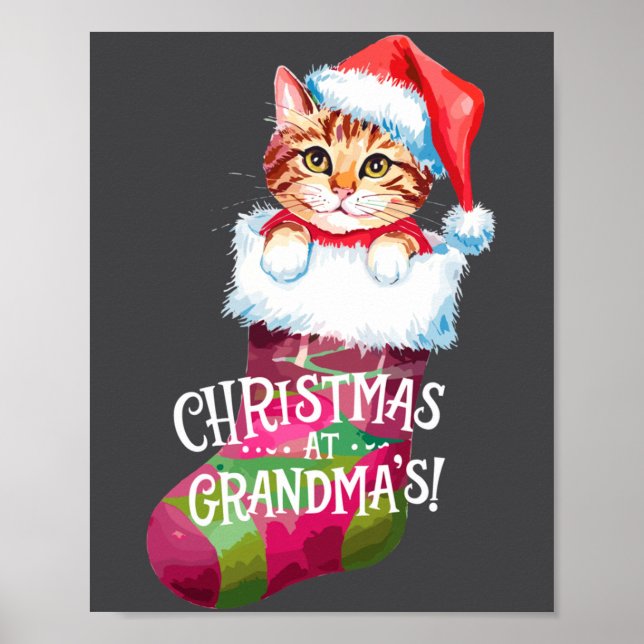 Christmas Cat _ Christmas At Grandma Cat _ Cute Ca Poster (Front)