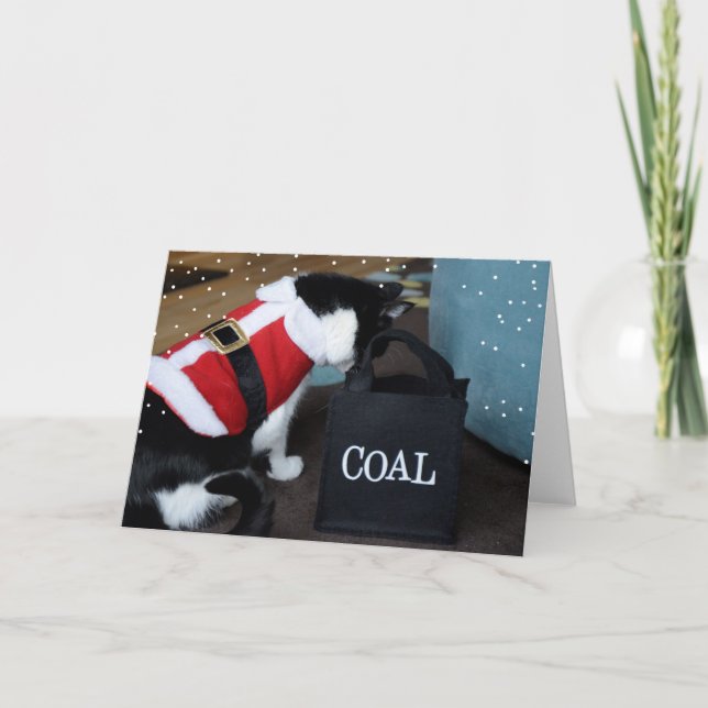 Christmas Cat Coal Holiday Card (Front)