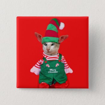 Christmas Cat Elf Button by knichols1109 at Zazzle