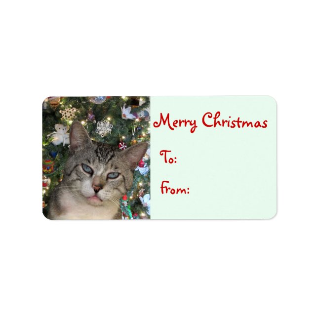 Christmas Cat Gift Labels (Front)