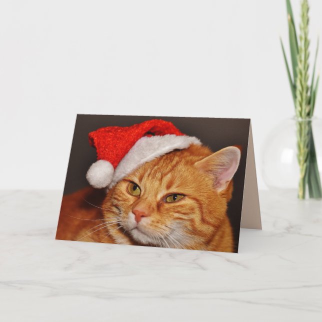 Christmas cat greeting card (Front)