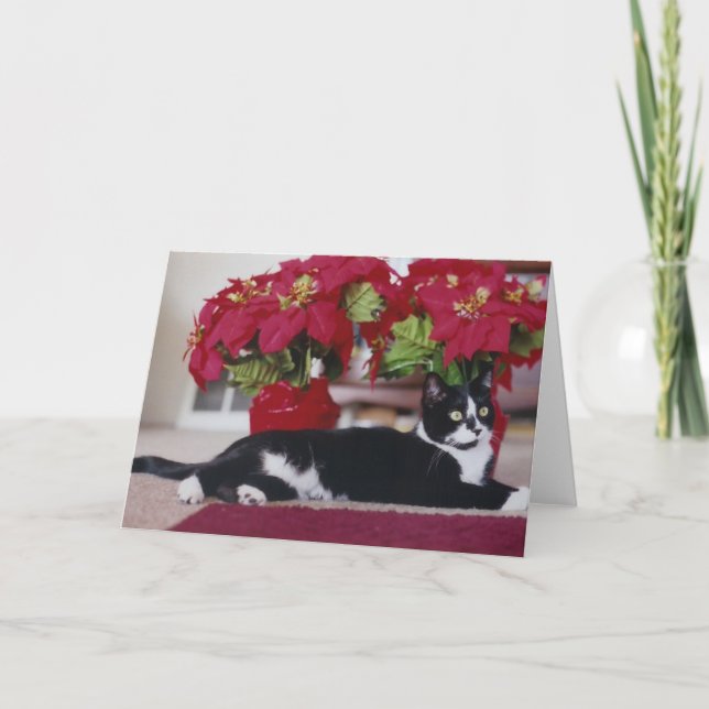 Christmas Cat Greeting Card (Front)