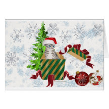 Christmas Cat Greetings