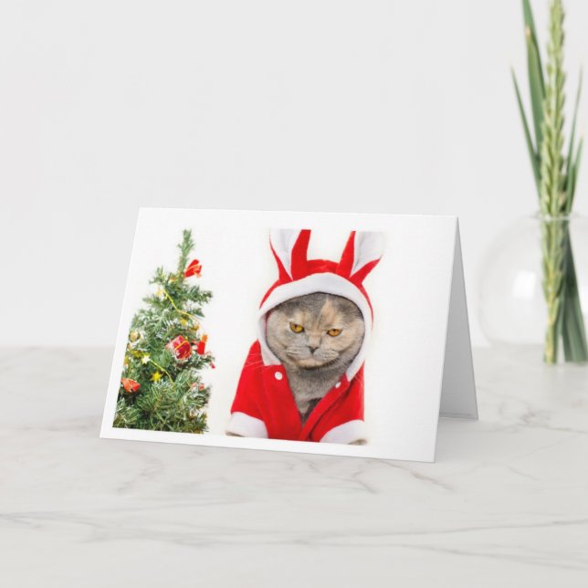 Christmas - Cat Holiday Card (Front)