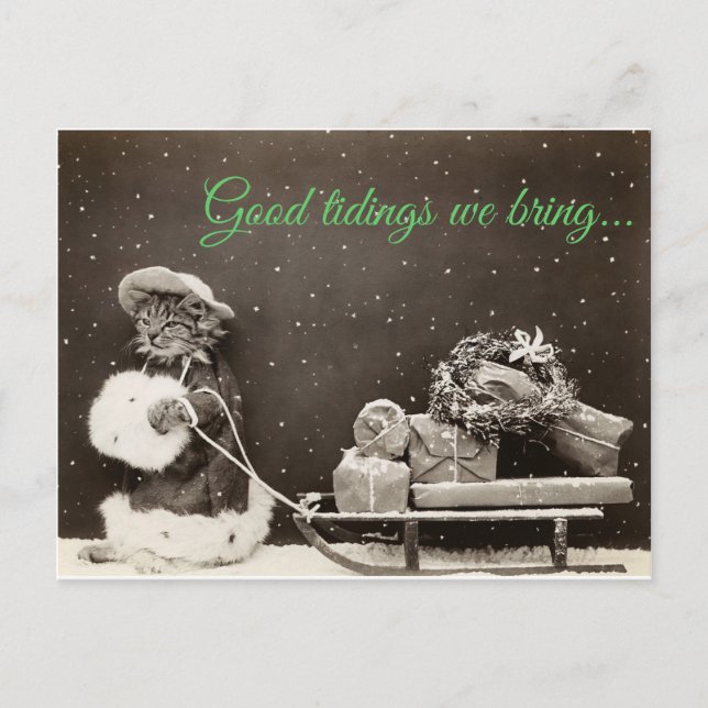 Christmas Cat Holiday Postcard (Front)