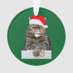 Christmas Cat Humbug Photo Circle Ornament