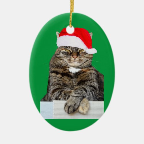 Christmas Cat Humbug Photo Oval Ornament