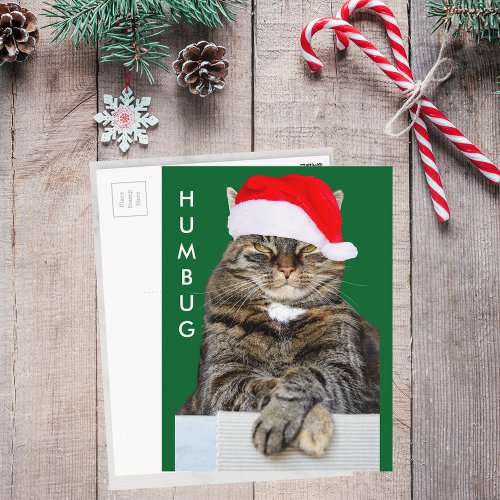 Christmas Cat Humbug Photo Postcard