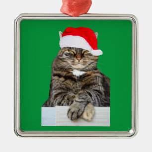 Christmas Cat Humbug Photo Premium Square Ornament