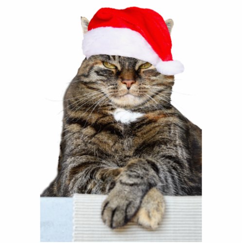 Christmas Cat Humbug Photo Sculpture Ornament