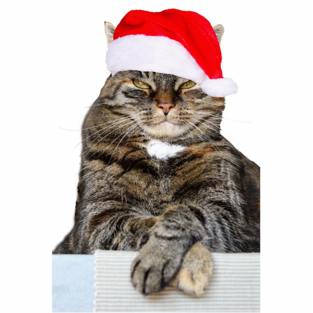 Christmas Cat Humbug Photo Sculpture Ornament (Front)
