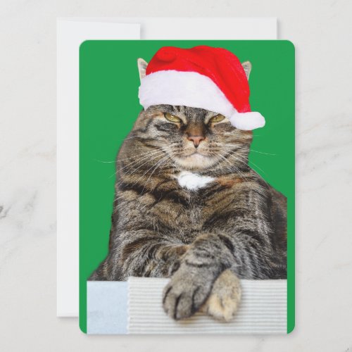 Christmas Cat Humbug Photo with Santa Hat Holiday Card