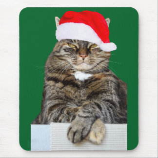 Christmas Cat Humbug Photo with Santa Hat Mouse Pad