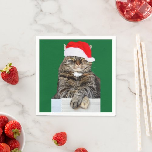 Christmas Cat Humbug Photo with Santa Hat Paper Napkins