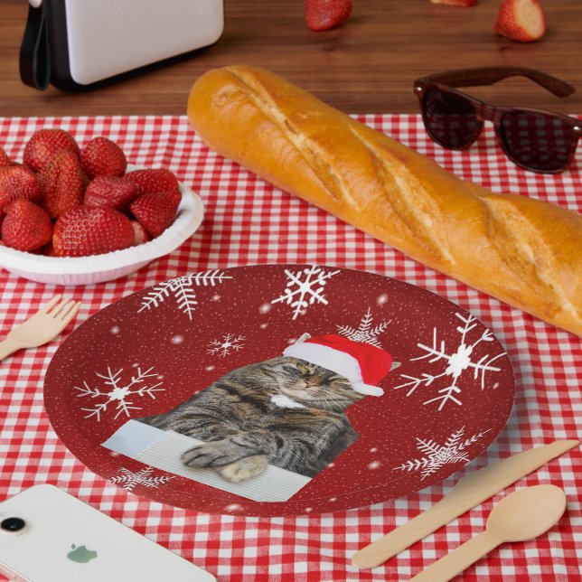 Christmas Cat Humbug Photo with Santa Hat Paper Plates (Picnic)