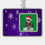 Christmas Cat Humbug & Snow Photo Framed Ornament