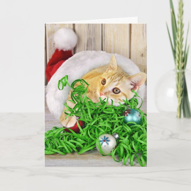Christmas cat in hat holiday card (Front)